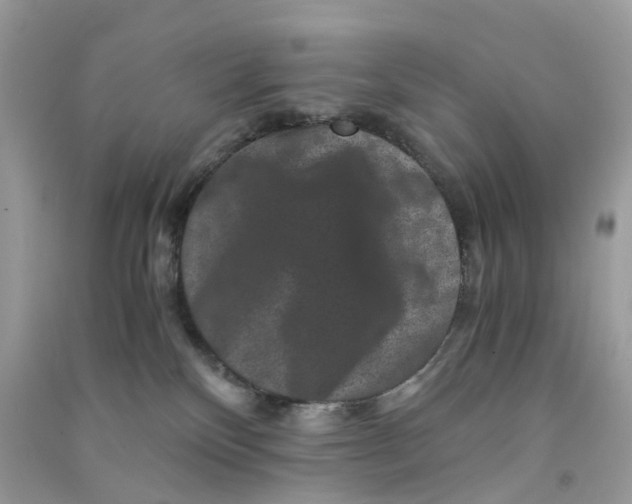X0000090760136200708172055