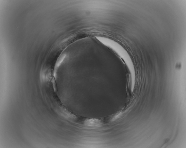 X0000090760137200708172055