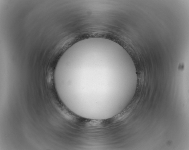 X0000090760138200708172055