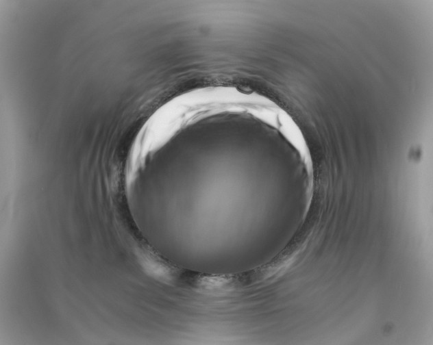X0000090760139200708172055