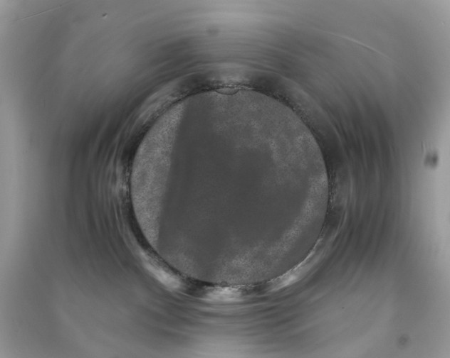 X0000090760140200708172055