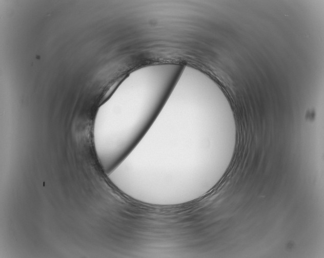 X0000090760141200708172055
