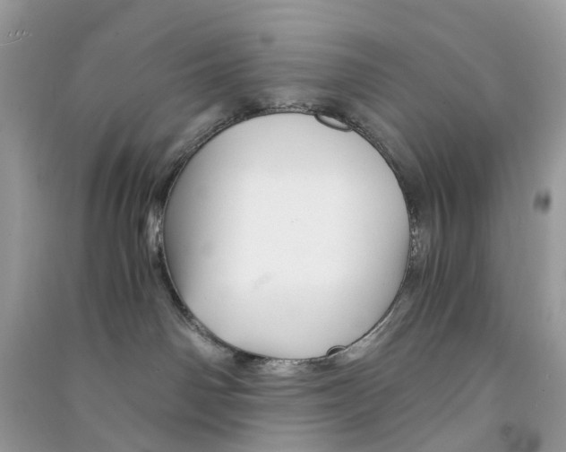 X0000090760142200708172055