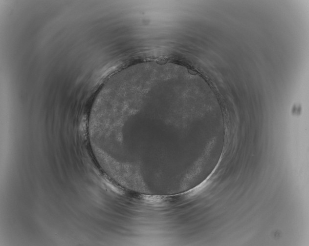 X0000090760144200708172055