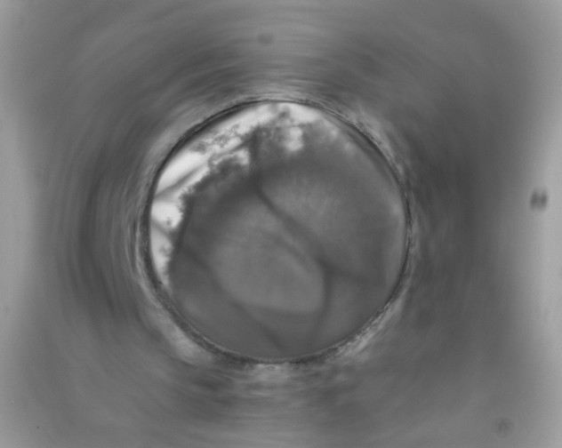 X0000090760145200708172055