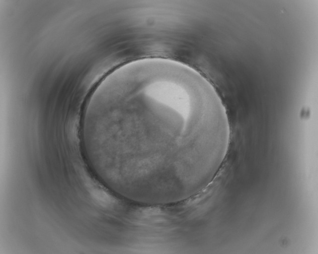 X0000090760146200708172055