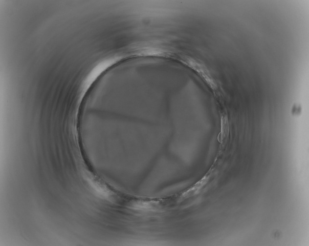 X0000090760147200708172055