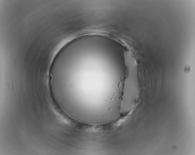 X0000090760148200708172055