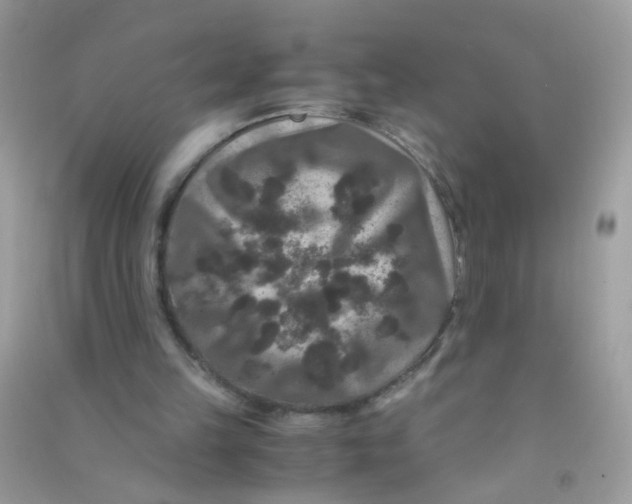 X0000090760149200708172055
