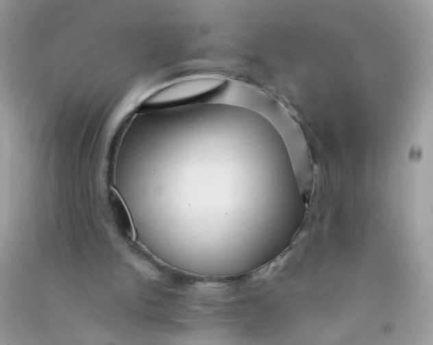 X0000090760150200708172055
