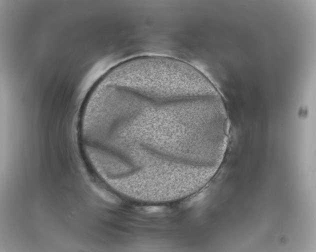 X0000090760151200708172055