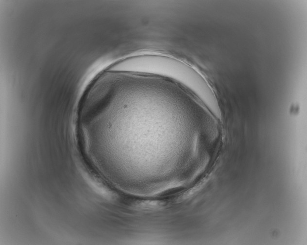 X0000090760152200708172055