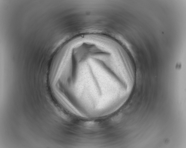 X0000090760153200708172055