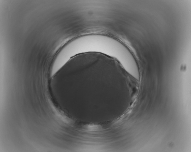 X0000090760154200708172055