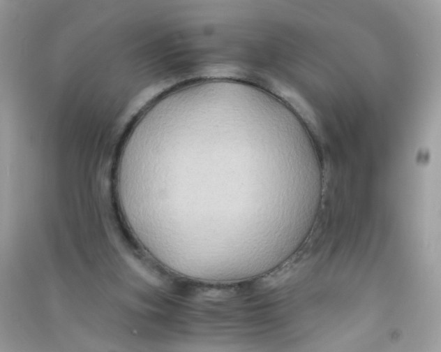 X0000090760155200708172055