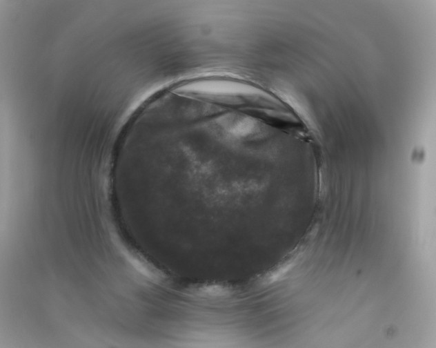 X0000090760156200708172055