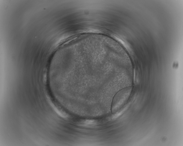 X0000090760157200708172055