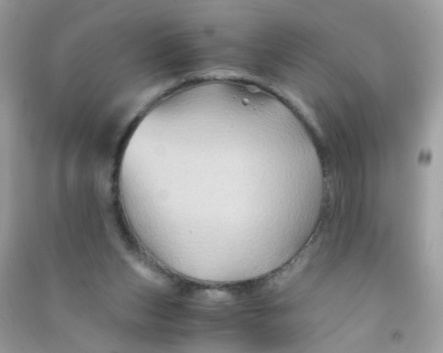 X0000090760159200708172055