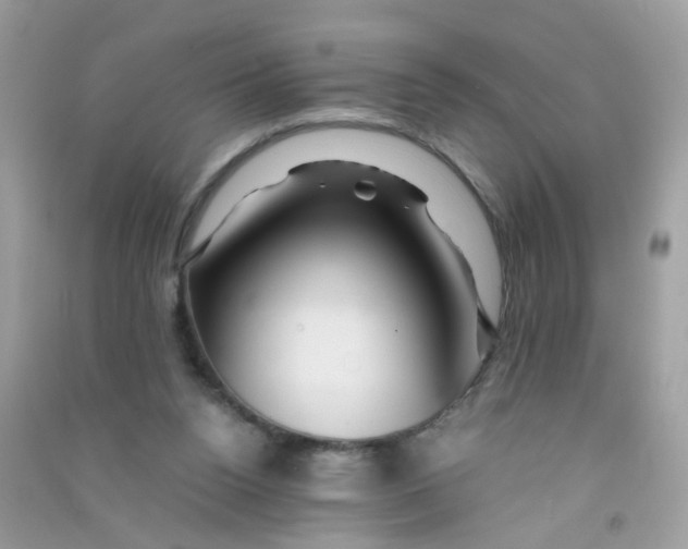 X0000090760160200708172055