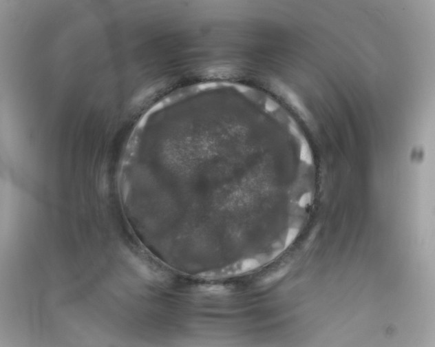 X0000090760161200708172055