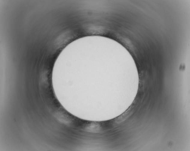 X0000090760162200708172055