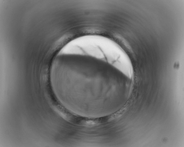X0000090760163200708172055