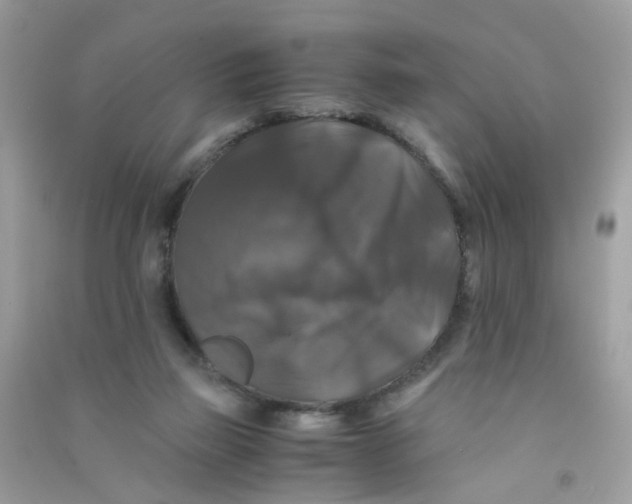 X0000090760165200708172055