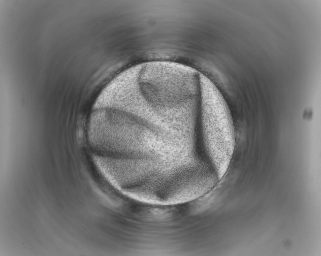 X0000090760166200708172055
