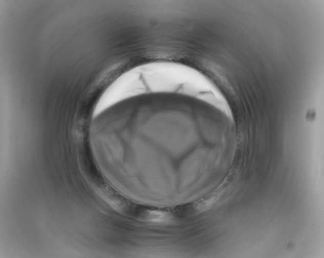 X0000090760167200708172055