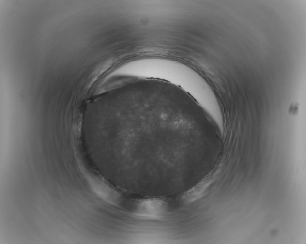X0000090760168200708172055