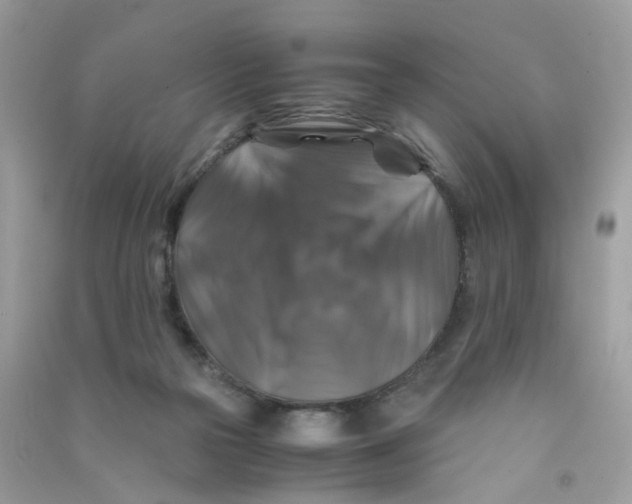 X0000090760169200708172055