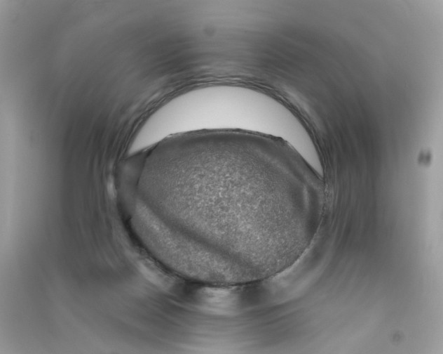 X0000090760170200708172055