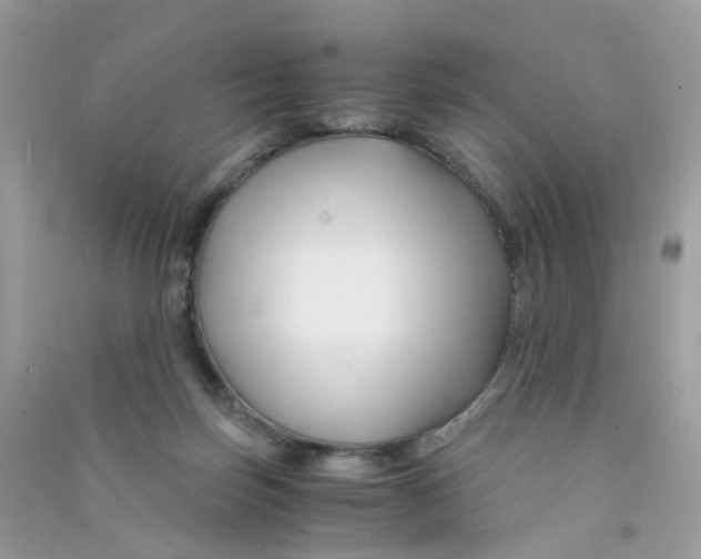 X0000090760171200708172055