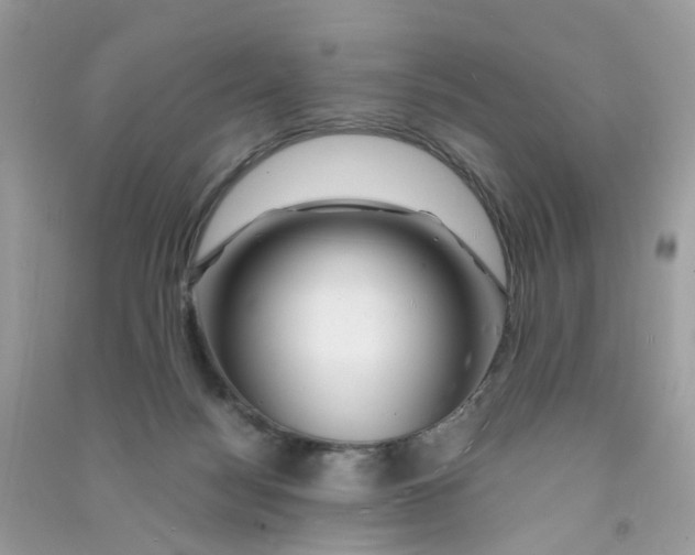 X0000090760172200708172055