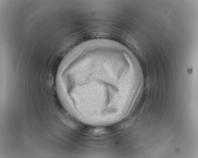 X0000090760173200708172055