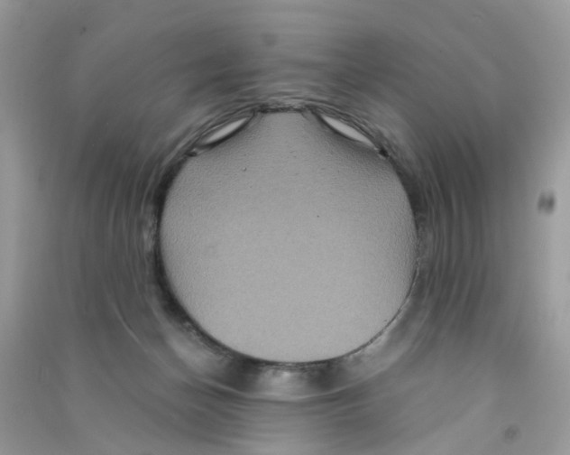 X0000090760174200708172055