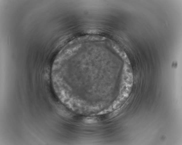X0000090760175200708172055