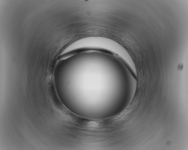 X0000090760176200708172055