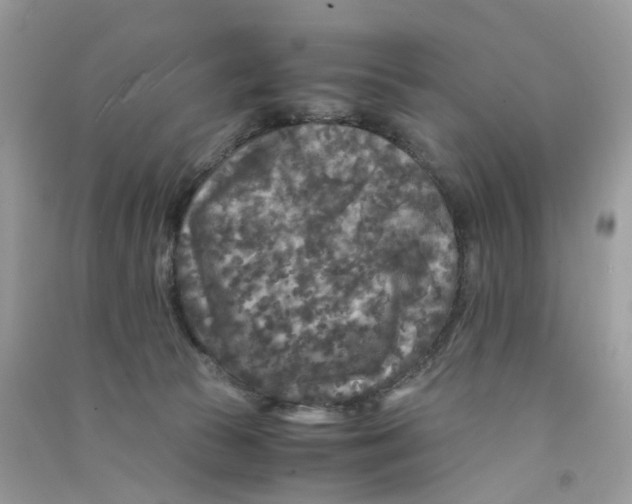 X0000090760177200708172055