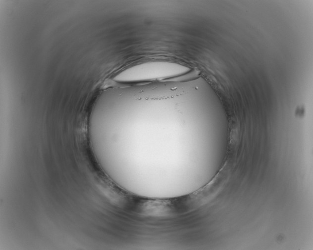 X0000090760179200708172055