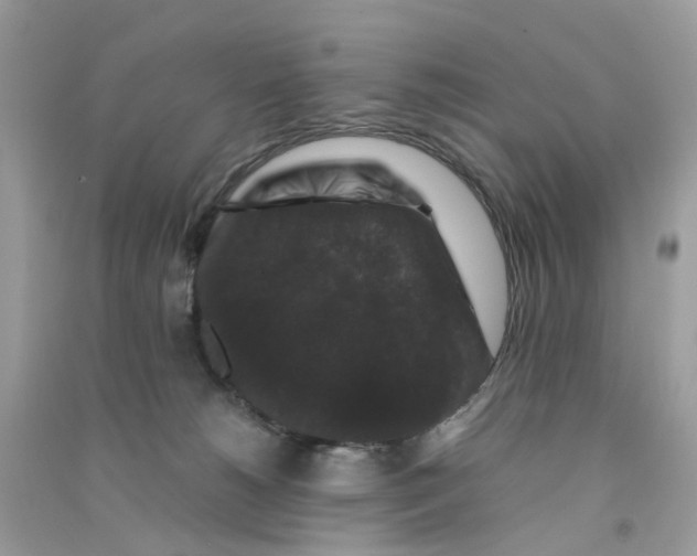 X0000090760180200708172055