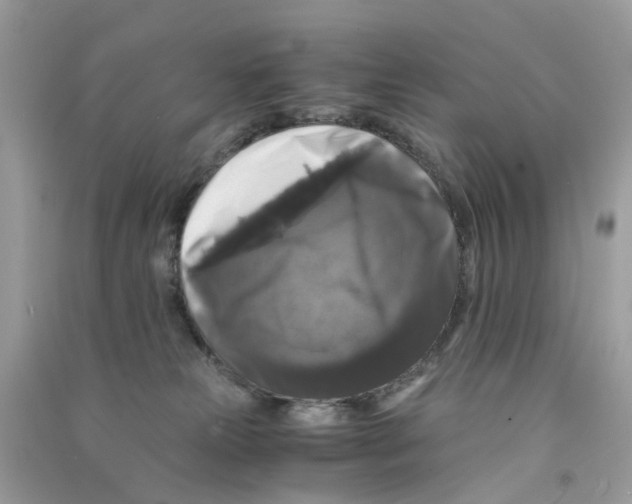 X0000090760181200708172055