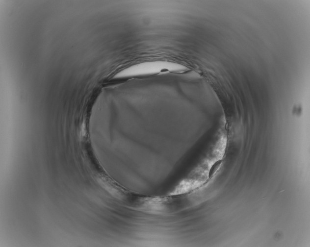 X0000090760182200708172055