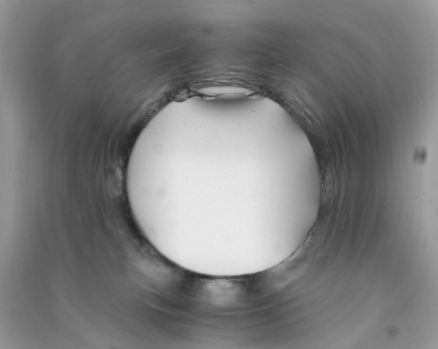 X0000090760183200708172055
