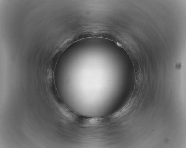 X0000090760184200708172055