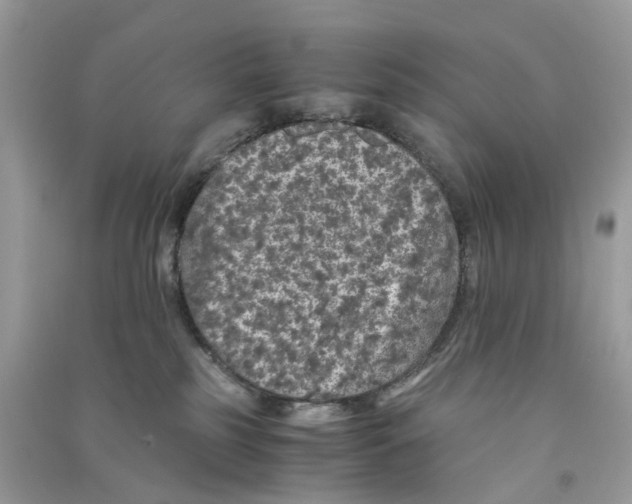 X0000090760185200708172055