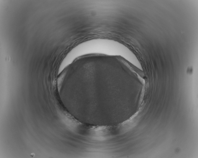 X0000090760186200708172055