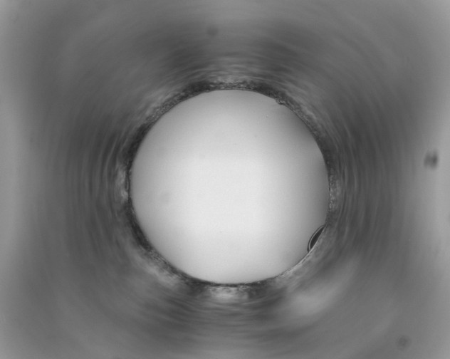 X0000090760187200708172055