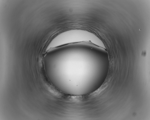X0000090760188200708172055