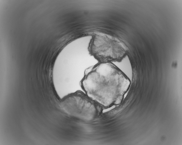 X0000090760189200708172055
